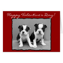 Tarjeta de felicitación feliz de Boston Terrier de