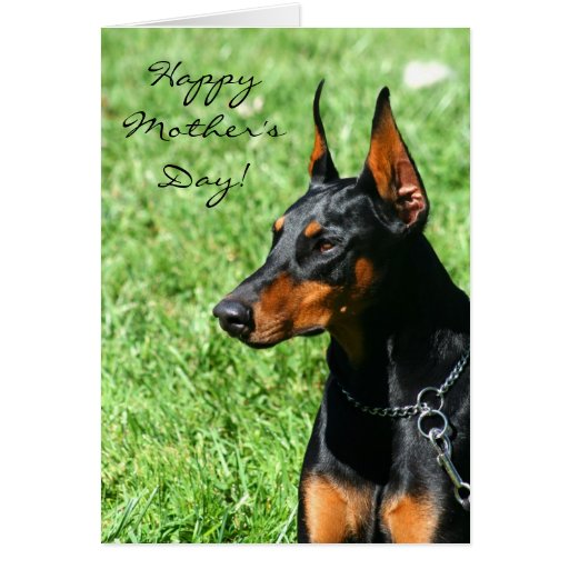 Tarjeta de felicitación feliz del Doberman del día