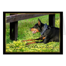 Tarjeta de felicitación feliz del Doberman del día