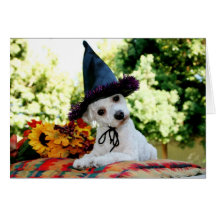 Tarjeta de felicitación feliz del perro de la acci