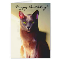 Tarjeta de felicitación gris del gato del feliz cu