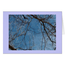 Tarjeta de felicitación/hielo del invierno