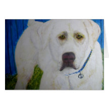Tarjeta de felicitación, labrador retriever amaril
