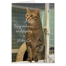 Tarjeta de felicitación para la adopción de un gat