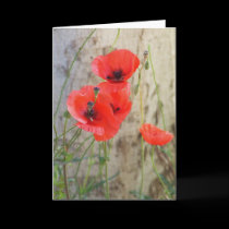 Tarjeta de felicitación roja de las amapolas de ma tarjetas
