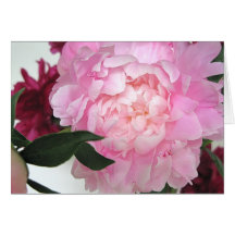 Tarjeta de felicitación sin título del Peony