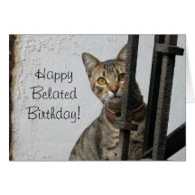 Tarjeta de felicitación tardía feliz del gato de t
