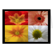 Tarjeta de FlowerPower