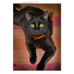 Tarjeta de Halloween del gato negro