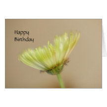 Tarjeta de HappyBirthday del crisantemo