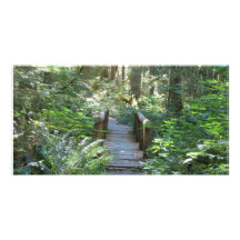 Tarjeta de imagen del sendero de la selva tropical tarjetas personales con fotos
