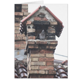 Tarjeta de la casa de la paloma