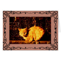Tarjeta de la condolencia del gato