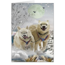 Tarjeta de la escena del invierno del husky siberi
