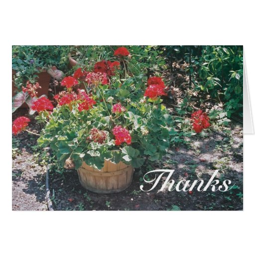 Tarjeta de la escritura - gracias