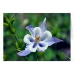 Tarjeta de la flor salvaje