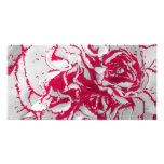 Tarjeta de la foto - clavel en rojo y blanco tarjeta personal
