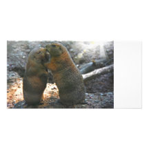 Tarjeta de la foto con los pares lindos de la marm tarjetas con fotos personalizadas