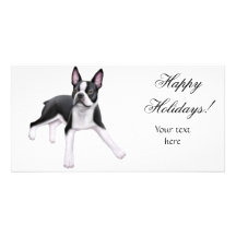Tarjeta de la foto de Boston Terrier Tarjetas Fotográficas