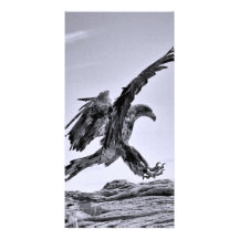 Tarjeta de la foto de Eagle calvo Lanind Tarjeta Con Foto Personalizada
