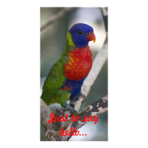 Tarjeta de la foto de Lorikeet del arco iris Tarjetas Fotograficas Personalizadas