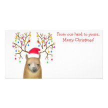 Tarjeta de la foto de Navidad de la alpaca Tarjeta Con Foto Personalizada