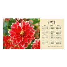 Tarjeta de la foto del calendario de la dalia 2012 tarjeta fotográfica personalizada