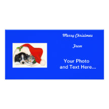 Tarjeta de la foto del navidad tarjetas fotograficas 