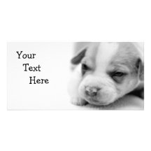 Tarjeta de la foto del perrito del hoyo tarjeta con foto personalizada