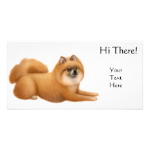 Tarjeta de la foto del perro de Pomeranian Tarjetas Fotograficas Personalizadas