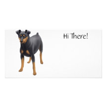 Tarjeta de la foto del Pinscher miniatura Tarjetas Personales Con Fotos