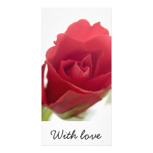 Tarjeta de la foto del rosa rojo, rojo… tarjeta personal con foto