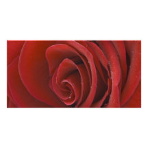 Tarjeta de la foto del rosa rojo tarjetas fotográficas personalizadas
