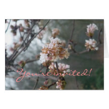 Tarjeta de la invitación (flor del invierno)