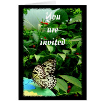 Tarjeta de la mariposa