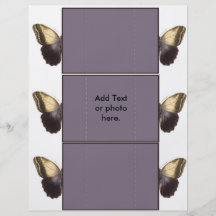 Tarjeta de la mariposa tarjetón