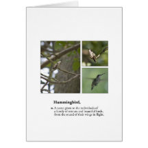 Tarjeta de la nota o de felicitación del colibrí