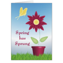 Tarjeta de la primavera de la flor y de la maripos