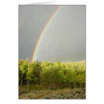 Tarjeta de la promesa del arco iris