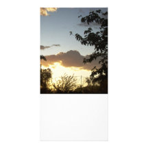 Tarjeta de la puesta del sol tarjeta fotográfica