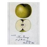 Tarjeta de la receta de Apple del vintage Postales