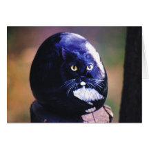 Tarjeta de la roca del gato de "Sasha"