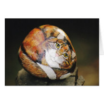Tarjeta de la roca del gato del "aster"
