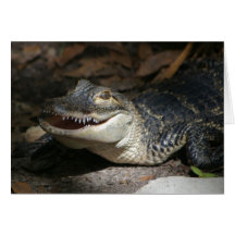 Tarjeta de la sonrisa del cocodrilo