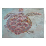 Tarjeta de la tortuga de mar