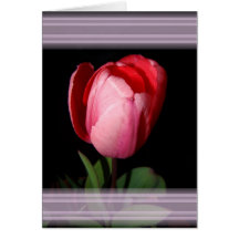 Tarjeta de las cintas del tulipán