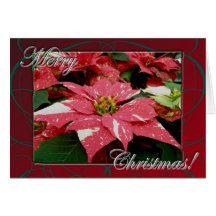Tarjeta de las Felices Navidad del Poinsettia