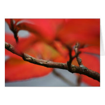 Tarjeta de las hojas de otoño