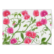 Tarjeta de las vides de la flor del guisante de ol