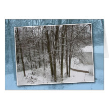 Tarjeta de los árboles del invierno